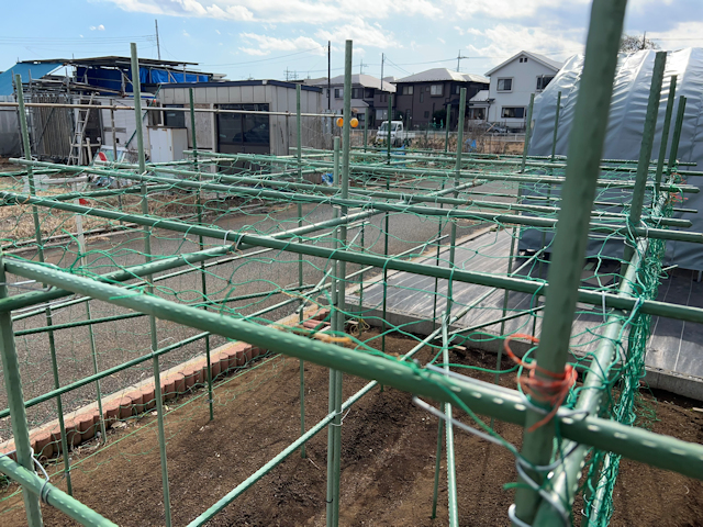 空飛ぶカボチャ空中栽培　園芸支柱で棚自作